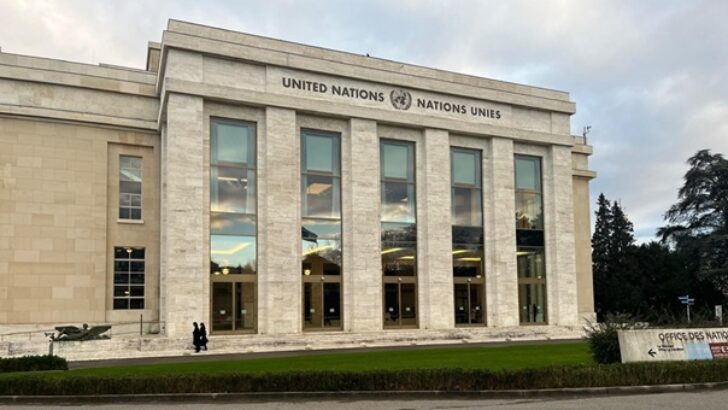 Beiträge, Hintergründe und Einblicke vom UN-Forum